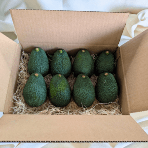 4lb Hass Avocado Box