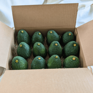 6lb Hass Avocado Box